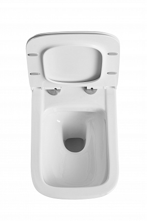 Подвесной унитаз Terminus Ното 550х350 белый Ейск - фото 6 Подвесной унитаз Terminus Ното 550х350 белый Ейск - фото 6