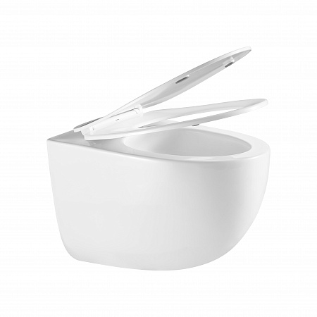 Подвесной унитаз безободковый Terminus Енисей Monolit 560х390 белый Ейск - фото 7 Подвесной унитаз безободковый Terminus Енисей Monolit 560х390 белый Ейск - фото 7