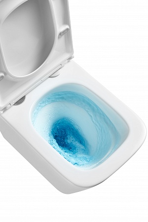 Подвесной унитаз безободковый Terminus Ватикан Monolit 490х340 белый Ейск - фото 8 Подвесной унитаз безободковый Terminus Ватикан Monolit 490х340 белый Ейск - фото 8