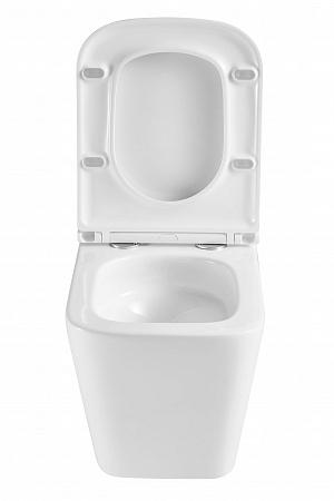 Подвесной унитаз безободковый Terminus Ватикан Monolit 490х340 белый Ейск - фото 7 Подвесной унитаз безободковый Terminus Ватикан Monolit 490х340 белый Ейск - фото 7