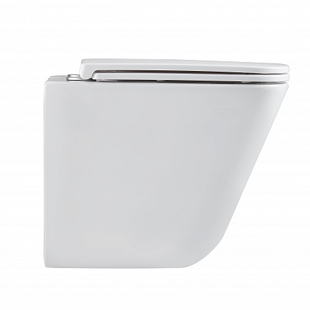 Подвесной унитаз безободковый Terminus Ватикан Monolit 490х340 белый Ейск - фото 4 Подвесной унитаз безободковый Terminus Ватикан Monolit 490х340 белый Ейск - фото 4