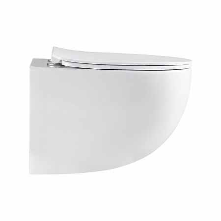 Подвесной унитаз безободковый Terminus Енисей Monolit 560х390 белый Ейск - фото 4 Подвесной унитаз безободковый Terminus Енисей Monolit 560х390 белый Ейск - фото 4