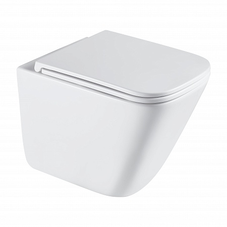 Подвесной унитаз безободковый Terminus Ватикан Monolit 490х340 белый Ейск - фото 2 Подвесной унитаз безободковый Terminus Ватикан Monolit 490х340 белый Ейск - фото 2