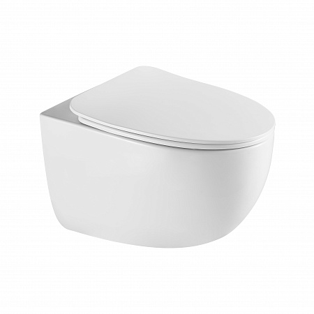 Подвесной унитаз безободковый Terminus Енисей Monolit 560х390 белый Ейск - фото 2 Подвесной унитаз безободковый Terminus Енисей Monolit 560х390 белый Ейск - фото 2