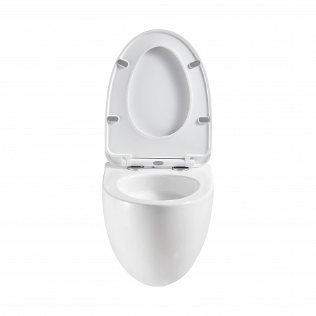 Подвесной унитаз безободковый Terminus Енисей Monolit 560х390 белый Ейск - фото 5 Подвесной унитаз безободковый Terminus Енисей Monolit 560х390 белый Ейск - фото 5