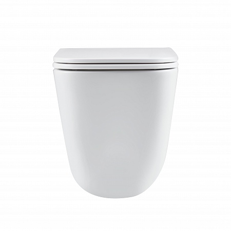 Подвесной унитаз безободковый Terminus Ватикан Monolit 490х340 белый Ейск - фото 6 Подвесной унитаз безободковый Terminus Ватикан Monolit 490х340 белый Ейск - фото 6