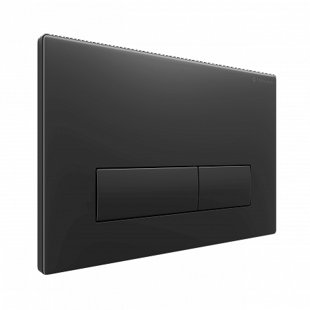 Клавиша смыва для инсталляции Terminus Classic кнопка прямоугольник цвет чёрный матовый Ейск - фото 2 Клавиша смыва для инсталляции Terminus Classic кнопка прямоугольник цвет чёрный матовый Ейск - фото 2