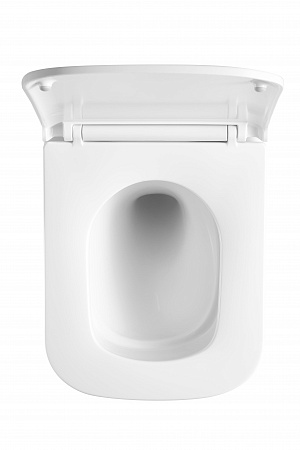 Подвесной унитаз безободковый Terminus Ватикан Monolit 490х340 белый Ейск - фото 3 Подвесной унитаз безободковый Terminus Ватикан Monolit 490х340 белый Ейск - фото 3